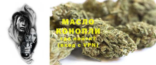 хмурый Арсеньев