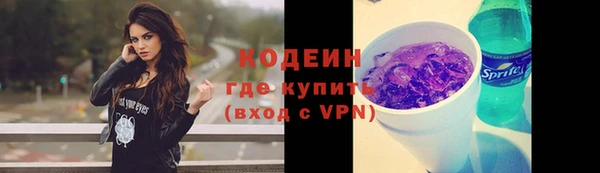 хмурый Арсеньев