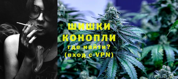 хмурый Арсеньев