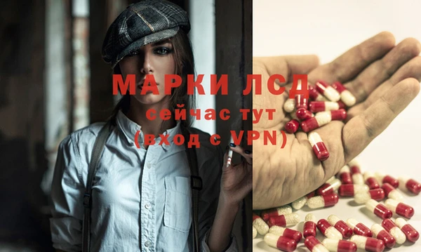 хмурый Арсеньев