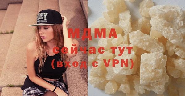 хмурый Арсеньев